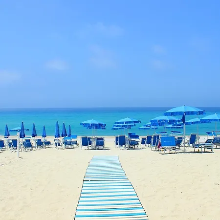 Blu Tropical