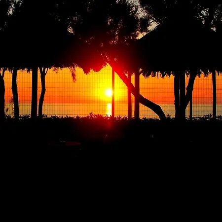 Blu Tropical Hotel Zambrone