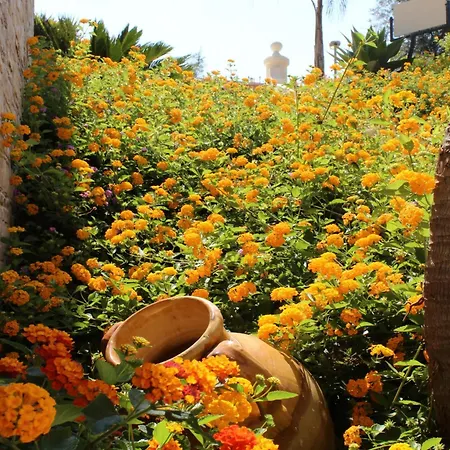 Blu Tropical 4* Zambrone