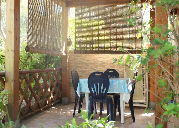 Blu Tropical זמברונה