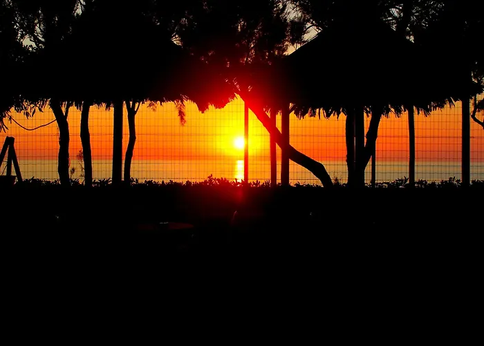 Blu Tropical מלון זמברונה