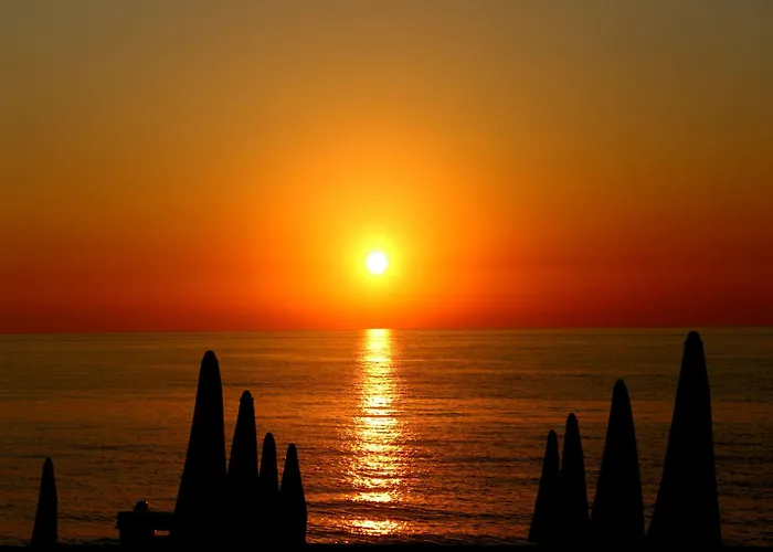 Blu Tropical זמברונה