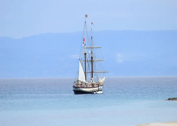 מלון Blu Tropical זמברונה