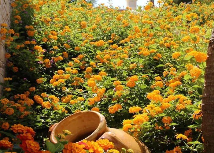 Blu Tropical 4* זמברונה