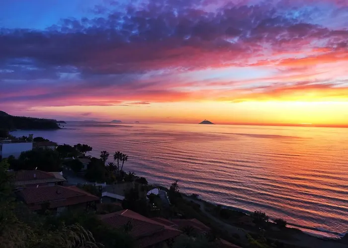 Blu Tropical זמברונה